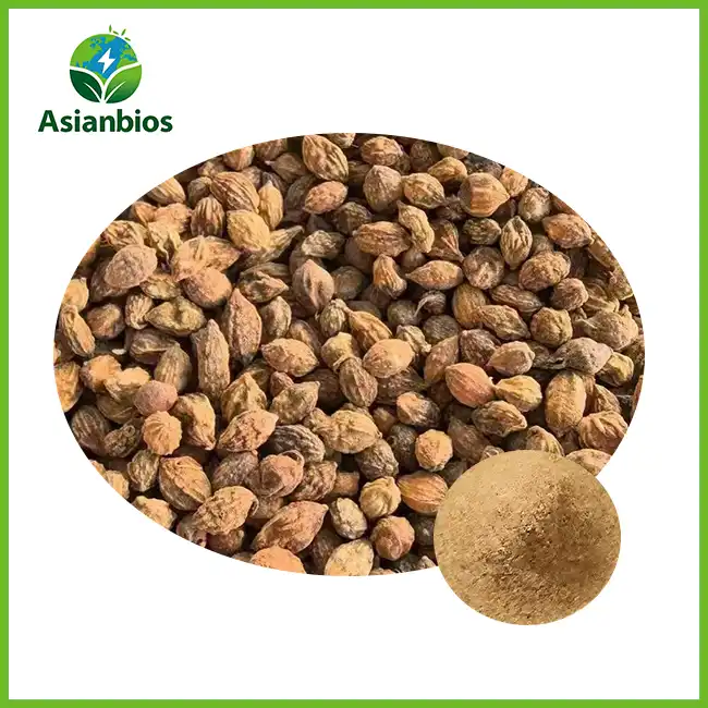 Alpinia Oxyphylla Seed Powder